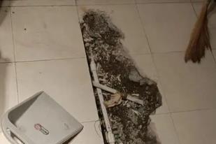前锋卫生间漏水检测电话